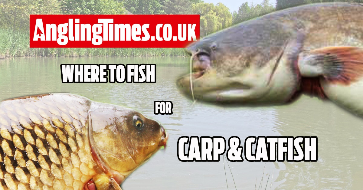 Fishing near me: 10 great venues to catch carp and catfish