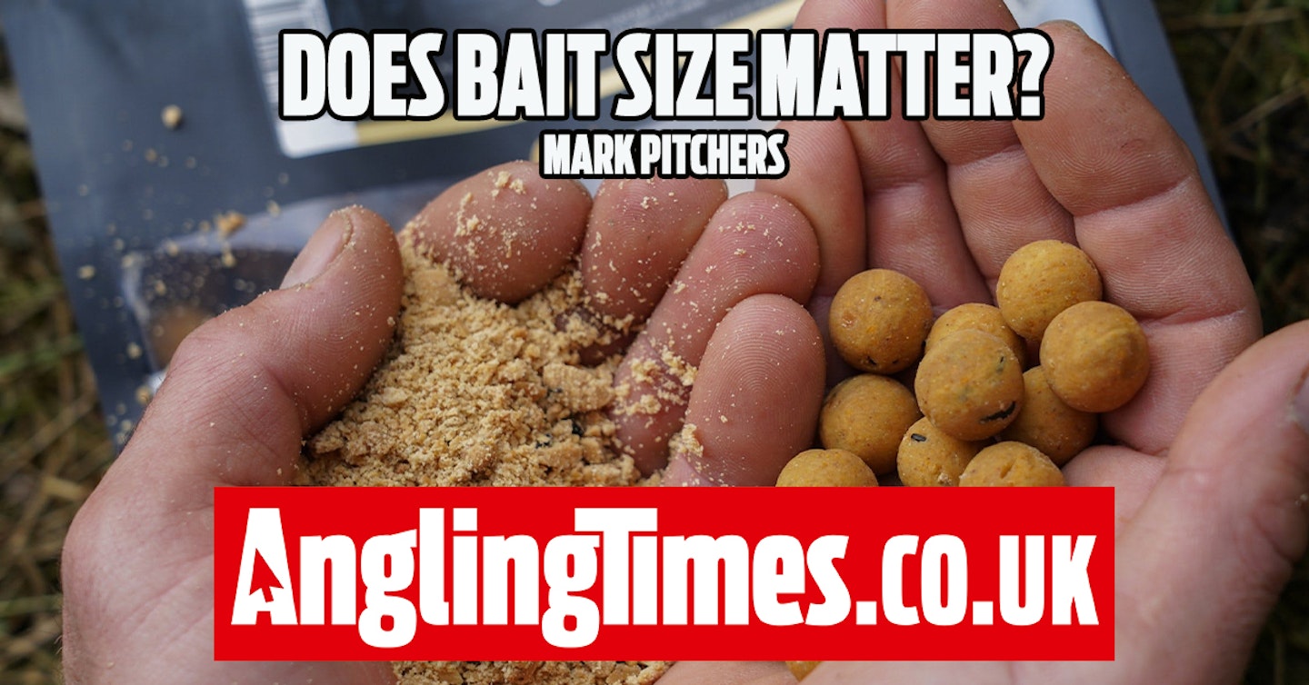 Does bait size matter when carp fishing? - Mark Pitchers