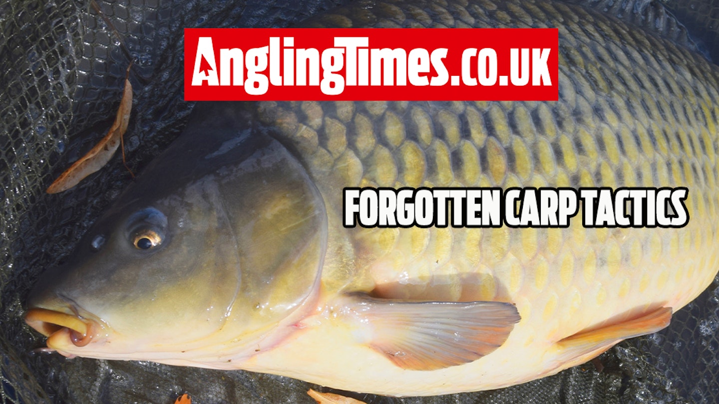 10 Forgotten carp fishing tactics you need to give another try!