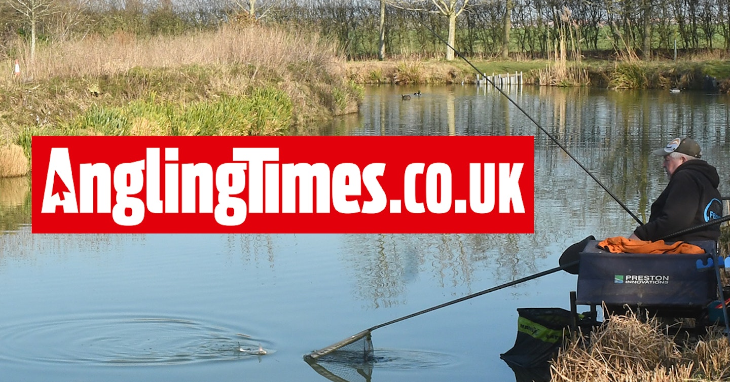 Both carp and silvers match records smashed during summer fishing festival