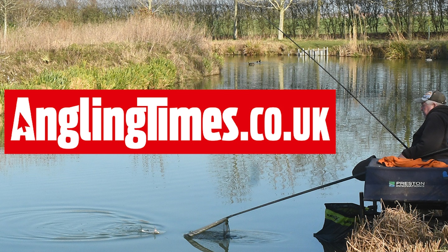 Both carp and silvers match records smashed during summer fishing festival