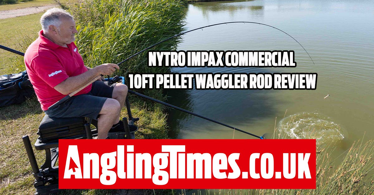 Nytro Impax Commercial Pellet Waggler 10FT review Angling Times
