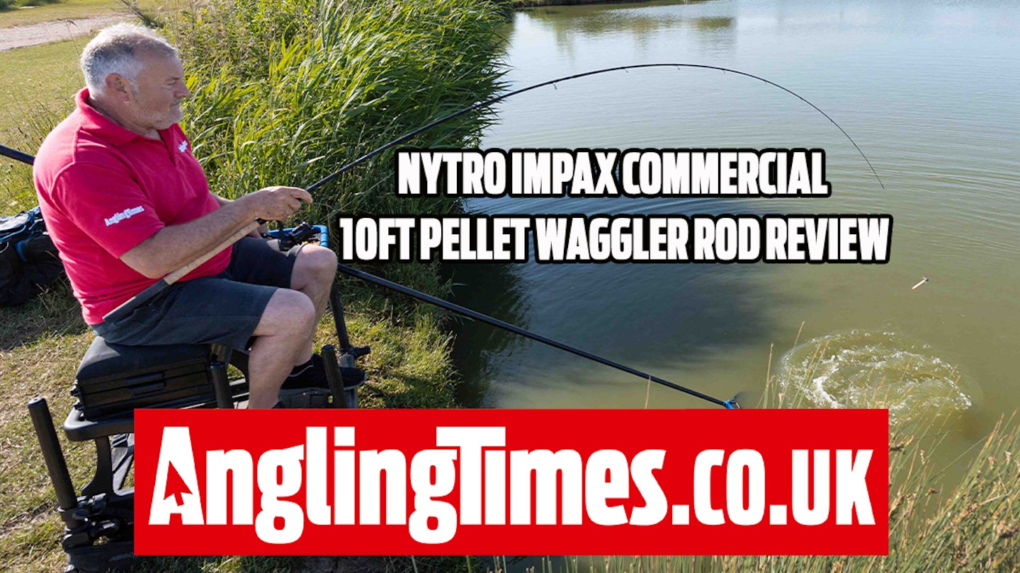 Nytro Impax Commercial Pellet Waggler 10FT