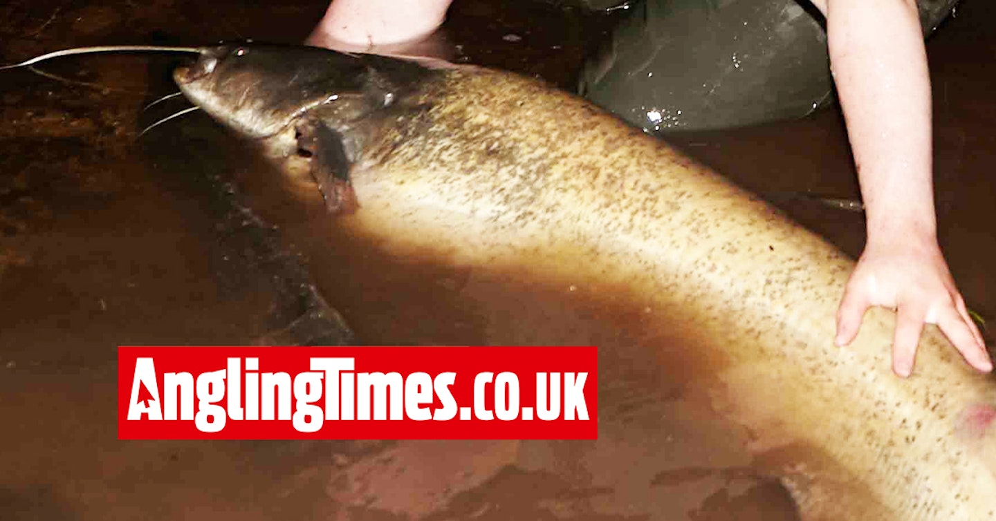 15-year-old angler hooks huge catfish from UK river