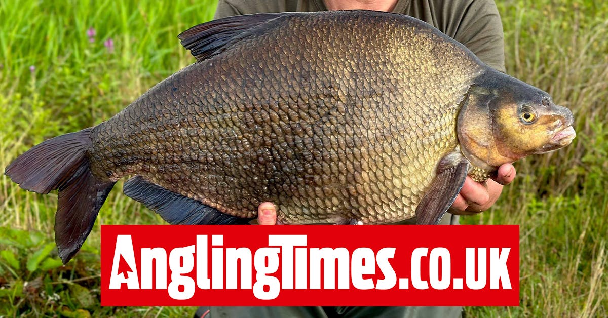 Big bream landed in brutal weather Angling Times