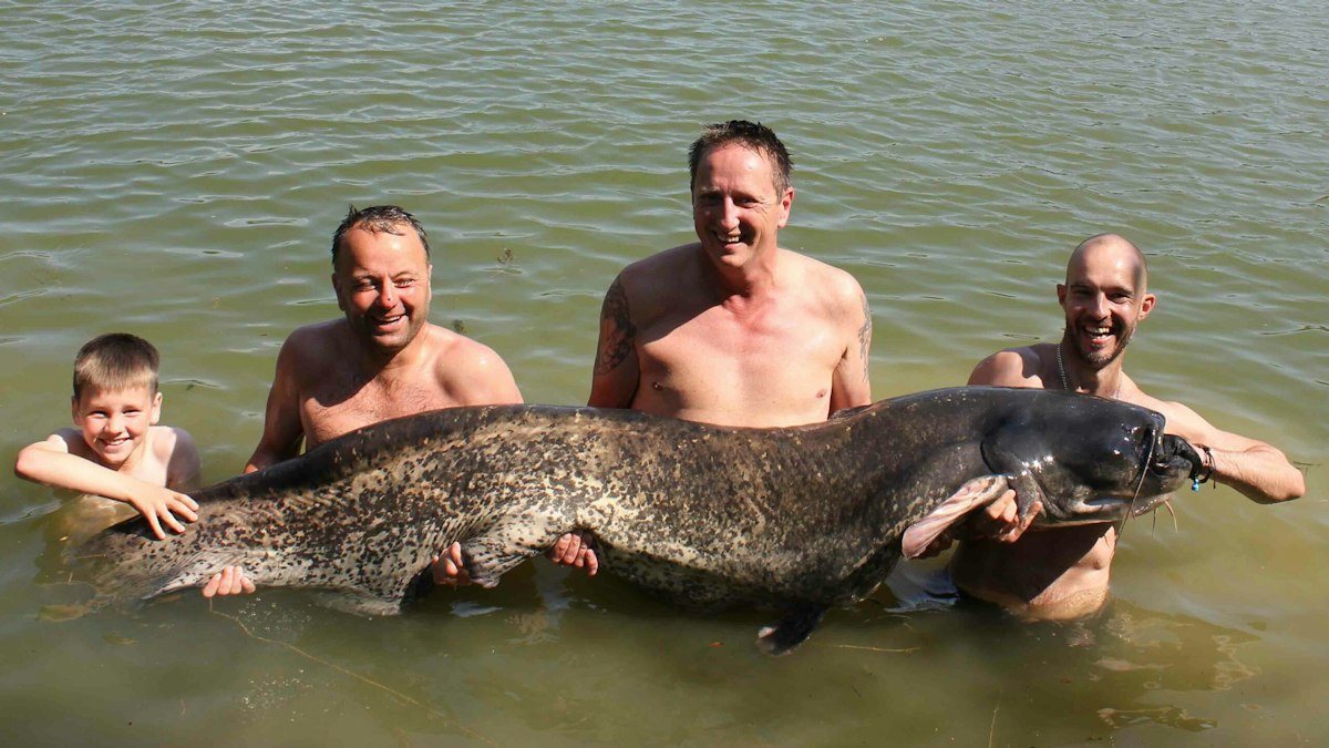 First UK catfish fishing trip produces 135lb giant | Angling Times