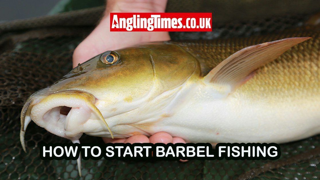 Simple Barbel Rigs Beginner’s guide: Starting barbel fishing tackle & river tips