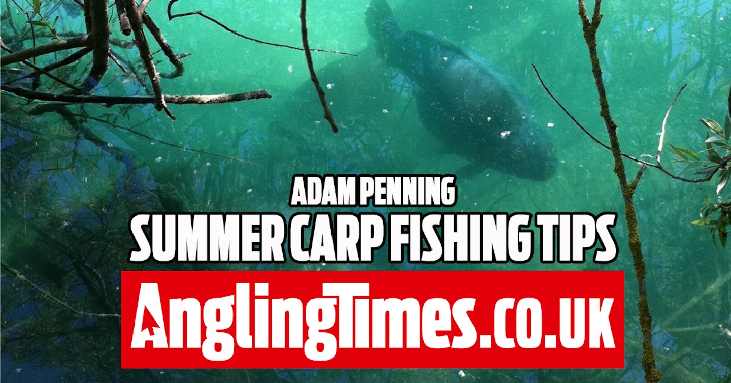 How to be different with your summer carp fishing – Adam Penning
