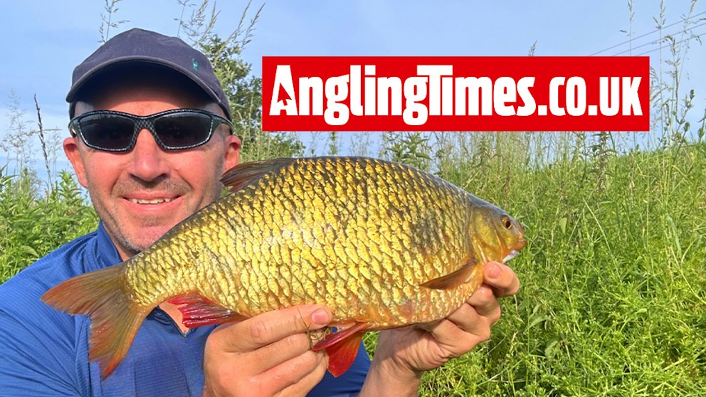 Rudd Large Big Fenland rudd takes trotted bait | Angling Times