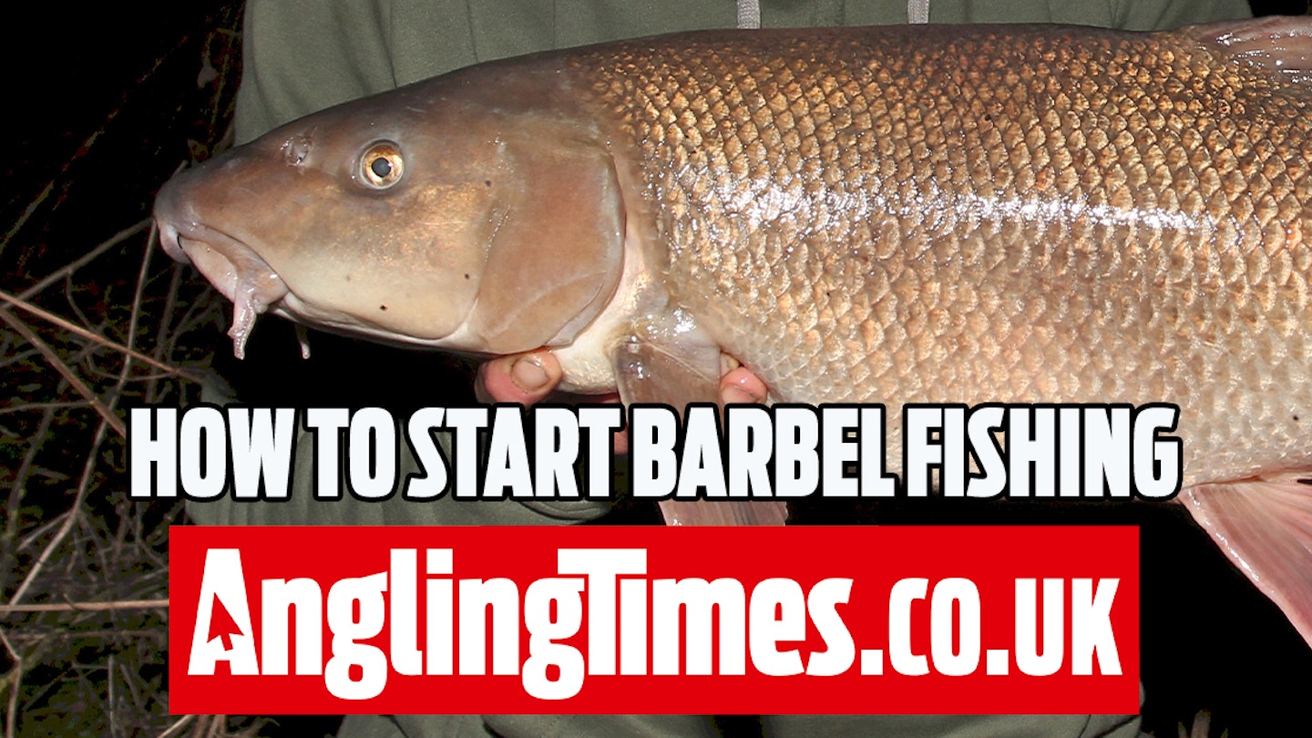 Starting Barbel Fishing: Tackle and Tips