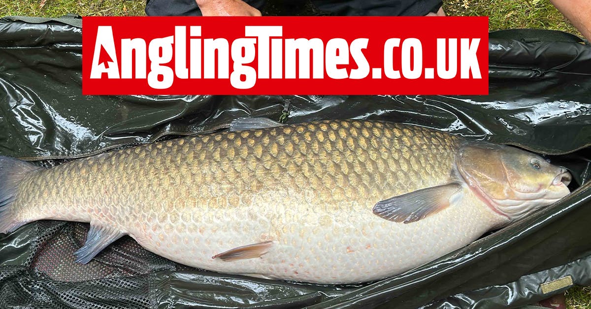 Recordbreaking UK grass carp is only the third biggest in the lake
