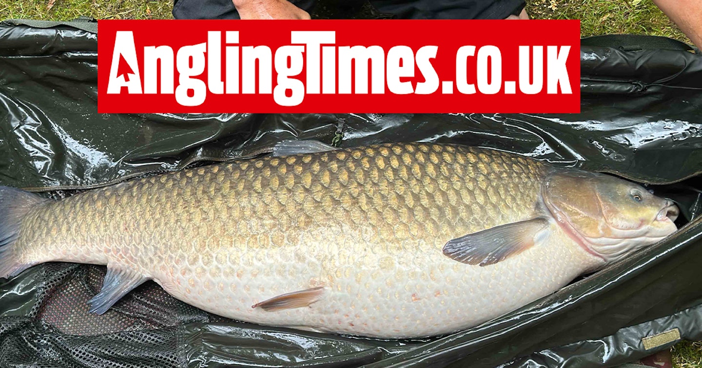 Record-breaking UK grass carp is only the third biggest in the lake