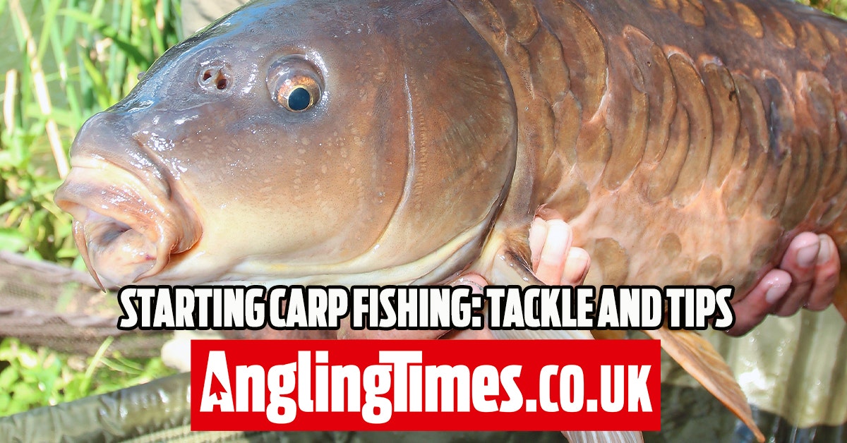 Carp Fishing For Beginners: A Beginner's Guide Easy Guide To Carp FISHING,  TOOLS, STEPS, TECHNIQUES, TIPS AND MANY MORE,Fishing in the United Kingdom