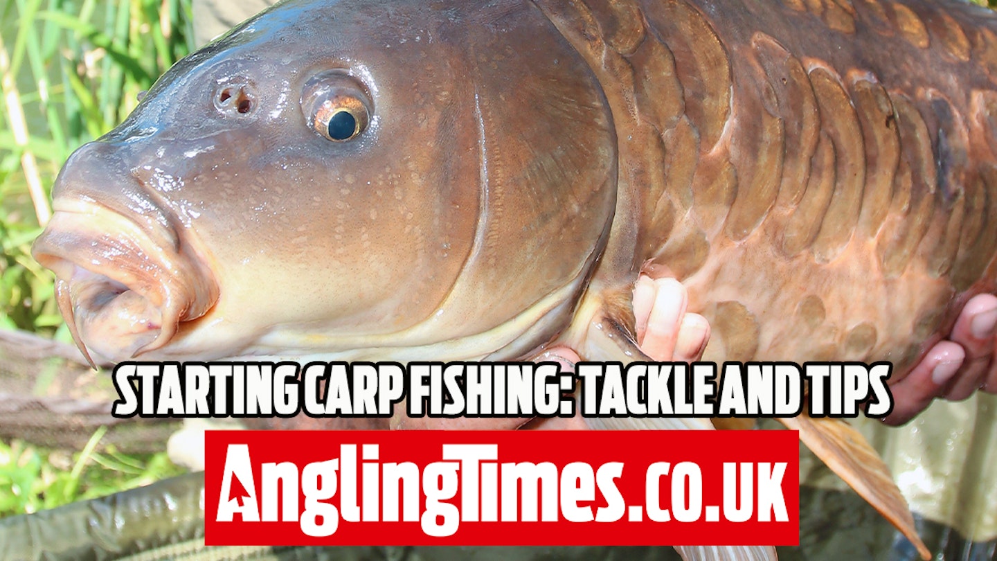 Starting Carp Fishing: Tackle and Tips for Beginners