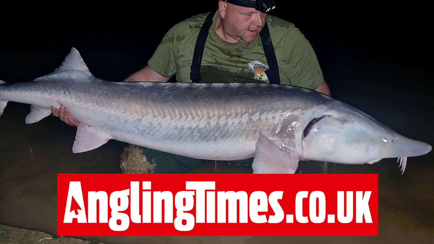 Angler says enormous 150lb UK sturgeon was ‘like hooking a steam train’