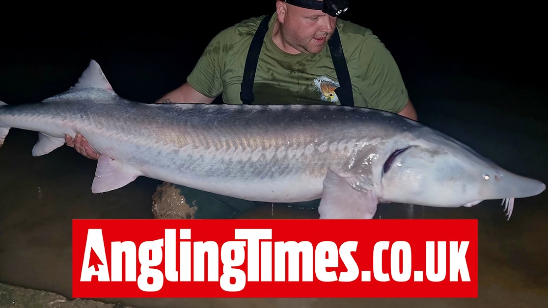 Angler says enormous 150lb UK sturgeon was ‘like hooking a steam train ...