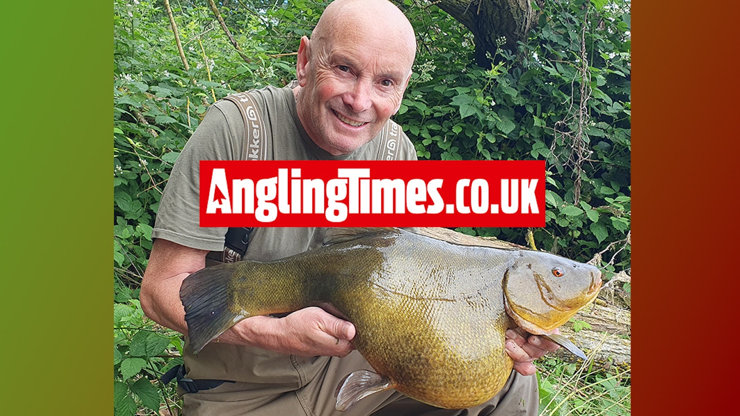 Angler banks biggest tench ever caught by design in Britain