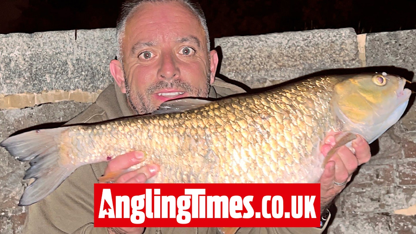 Big Thames chub after tactical switch