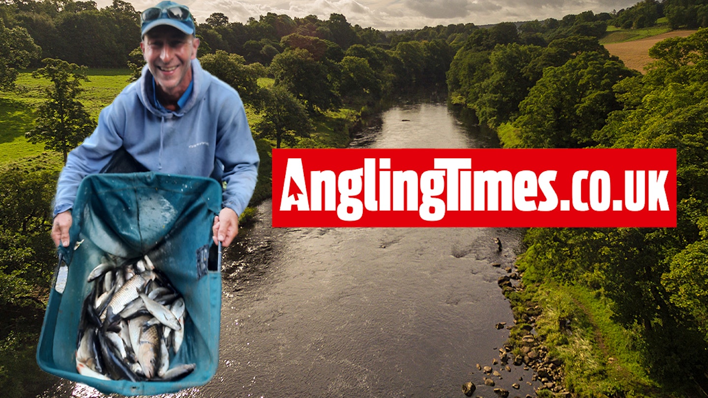 100lb-plus haul of chub and dace taken in remarkable river fishing match