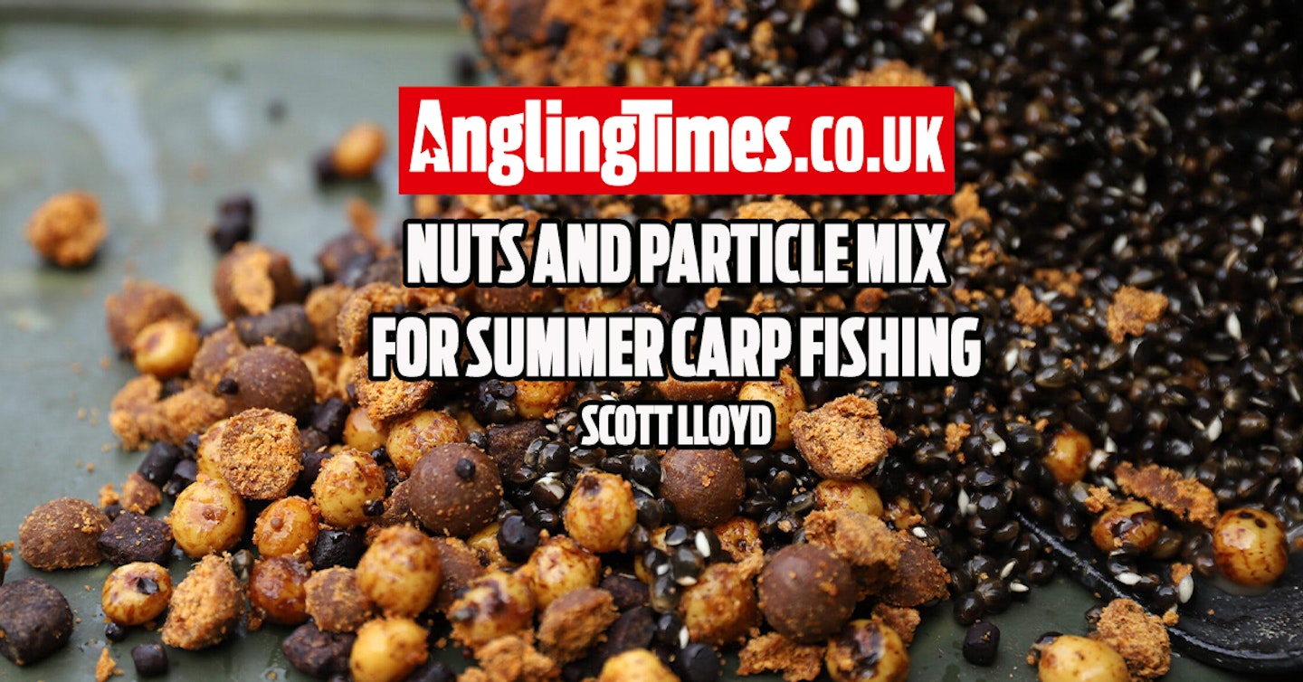Try this nut and particle bait mix for your summer carp fishing