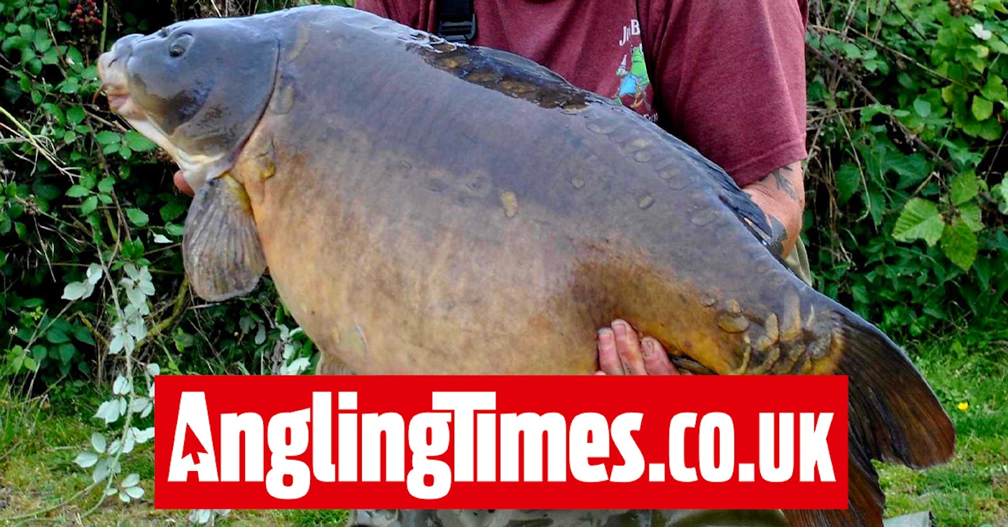 Monster St Ives mirror carp falls to a single
