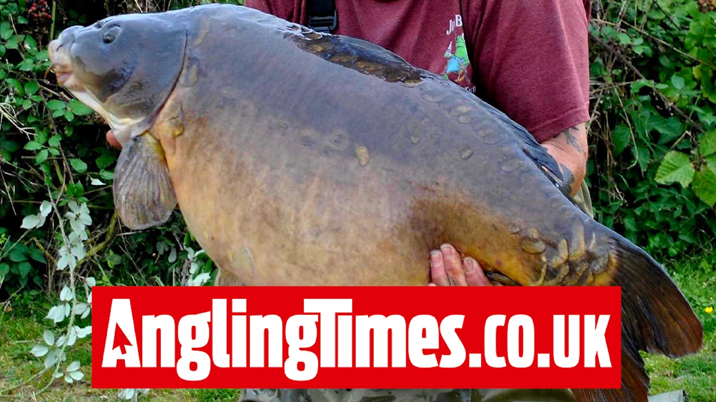 Monster St Ives mirror carp falls to a single