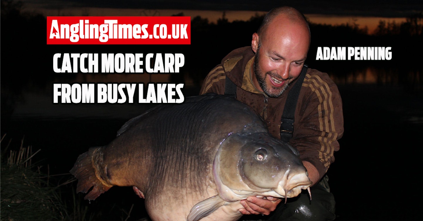 How to attract carp into your swim on pressured lakes - Adam Penning