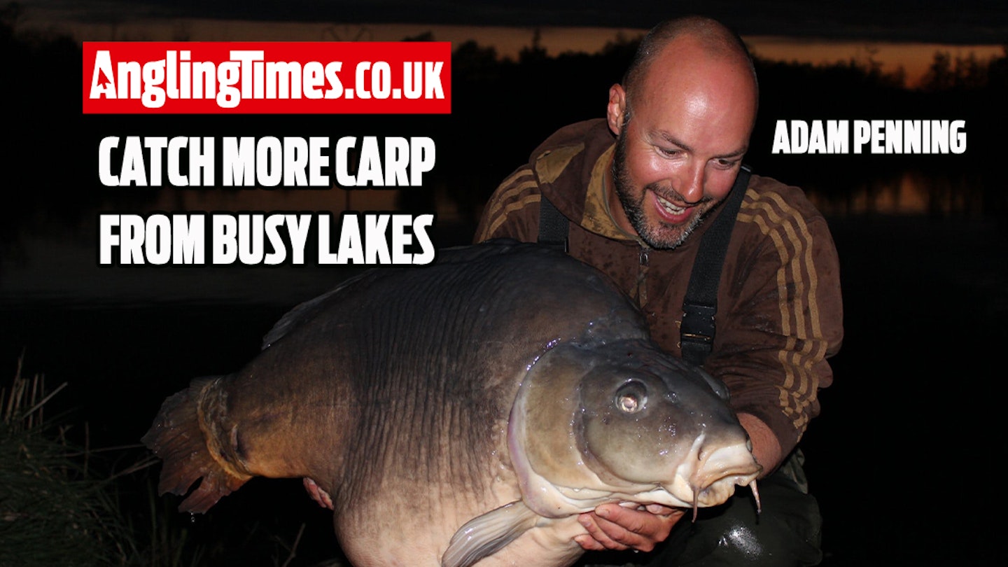 How to attract carp into your swim on pressured lakes – Adam Penning