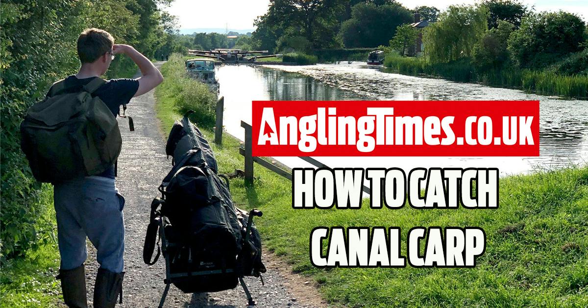 How to catch canal carp | Angling Times