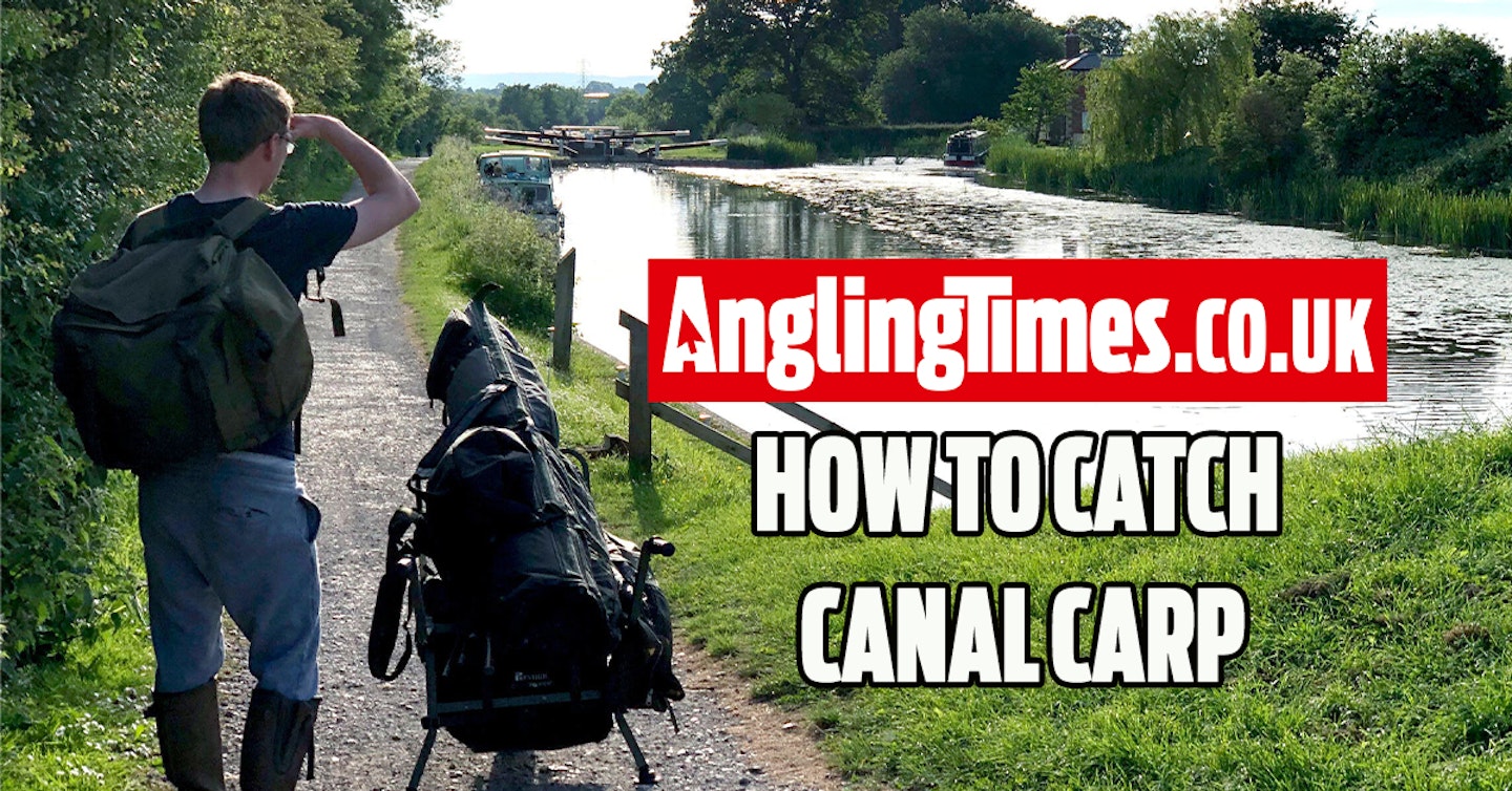 How to catch canal carp