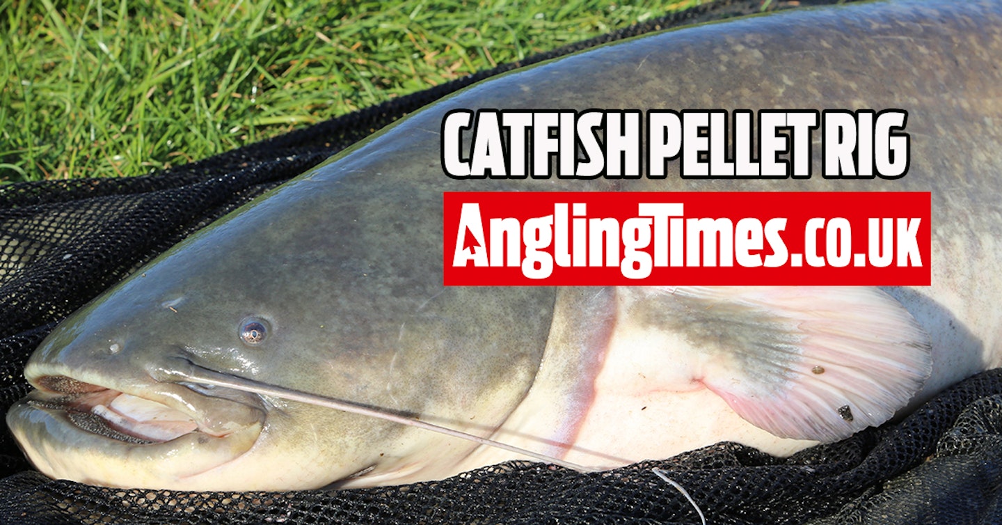 A simple pellet rig for big catfish fishing