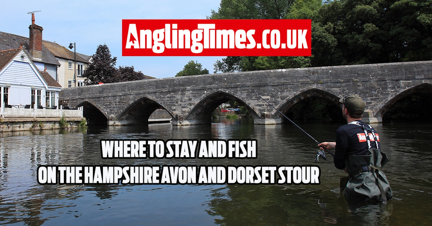 Fishing Holidays: Where to stay and fish on the Hampshire Avon and Dorset Stour