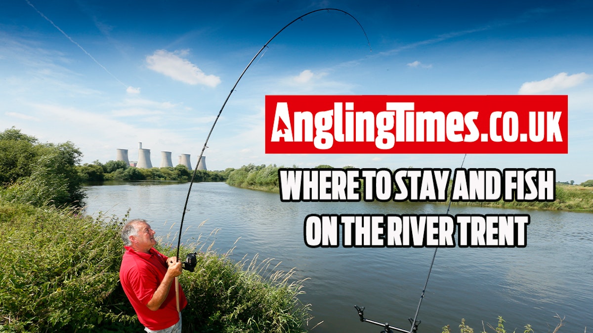 Fishing holidays: Where to stay and fish on the River Trent | Angling Times