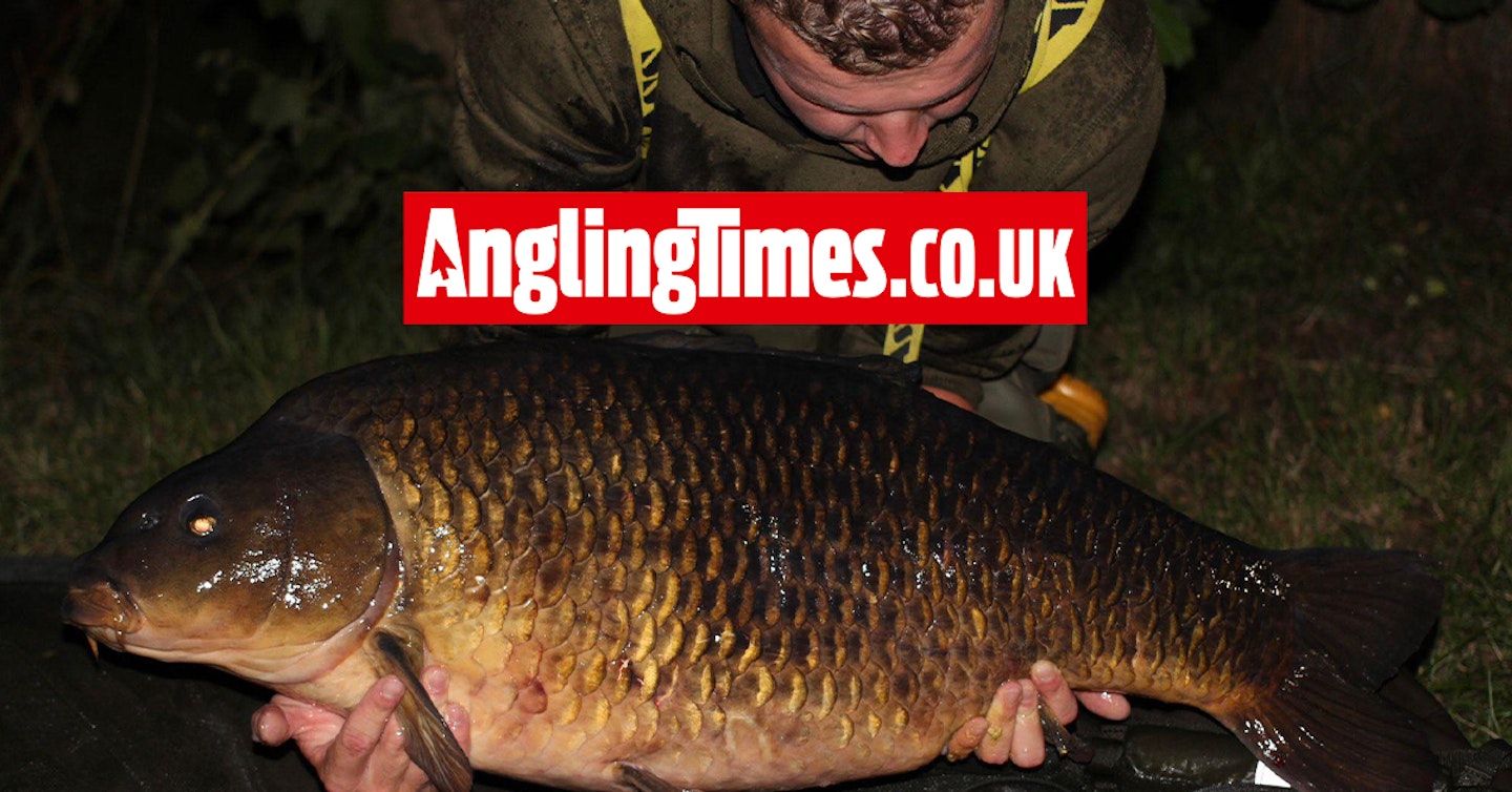 Two 30lb-plus Thames common carp landed after baiting campaign