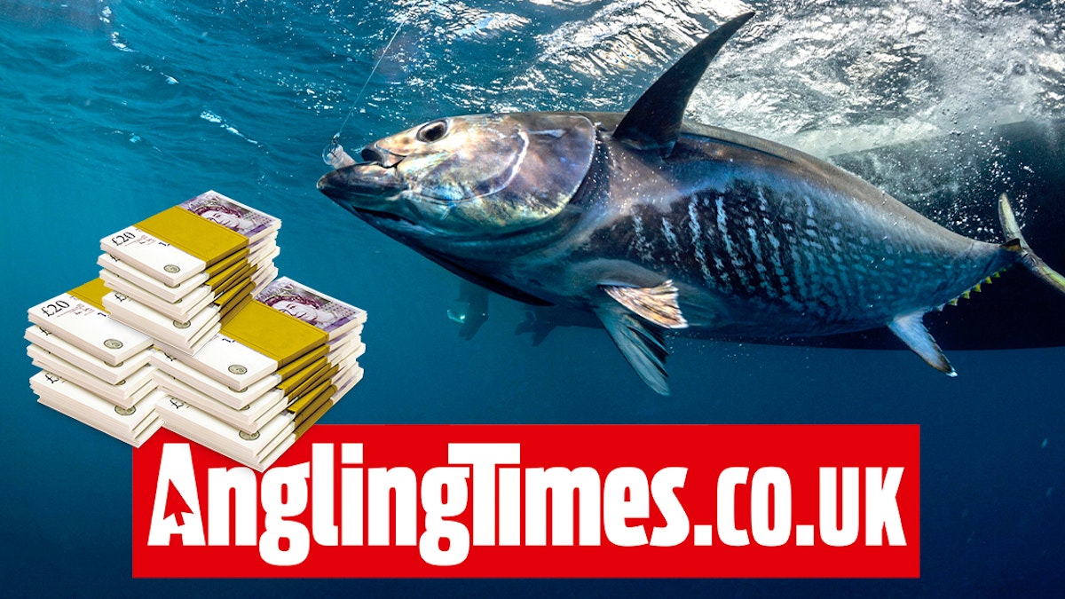 The world’s most expensive fish and how our coarse species compare ...