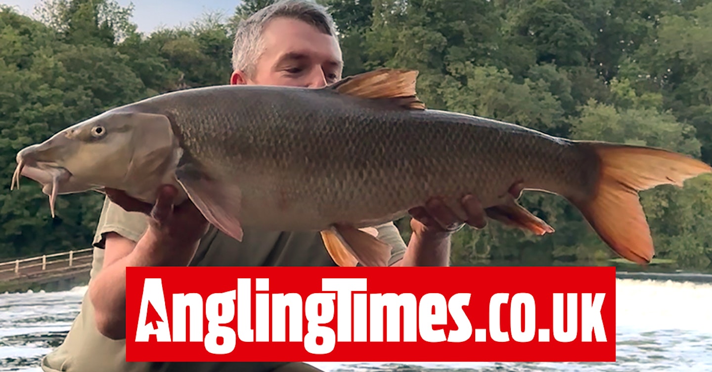 'Snag' turns out to be a huge Trent barbel