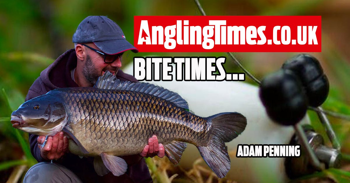 Carp fishing ‘bite times’ Adam Penning Angling Times