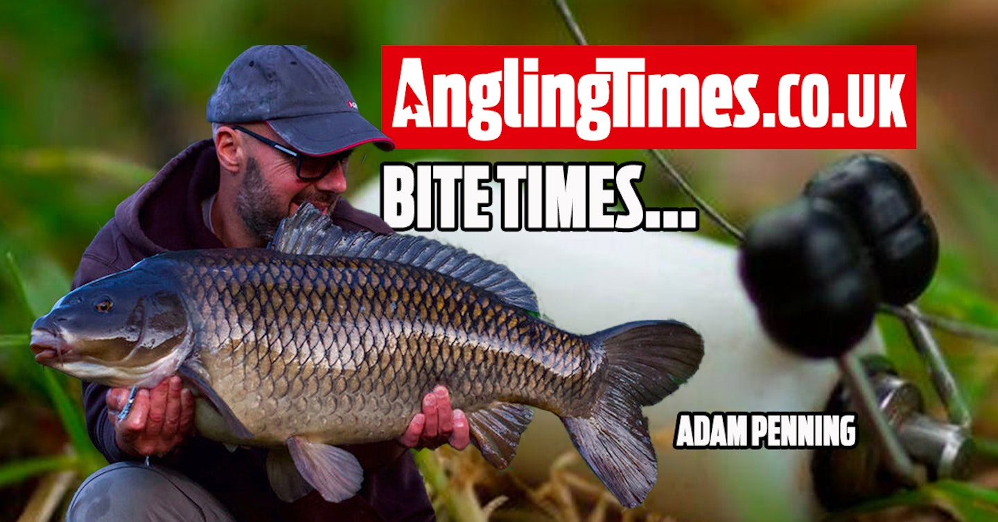 Carp fishing 'bite times' - Adam Penning