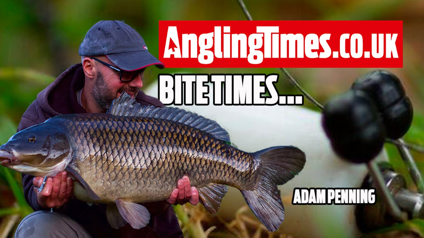 Carp fishing ‘bite times’ – Adam Penning