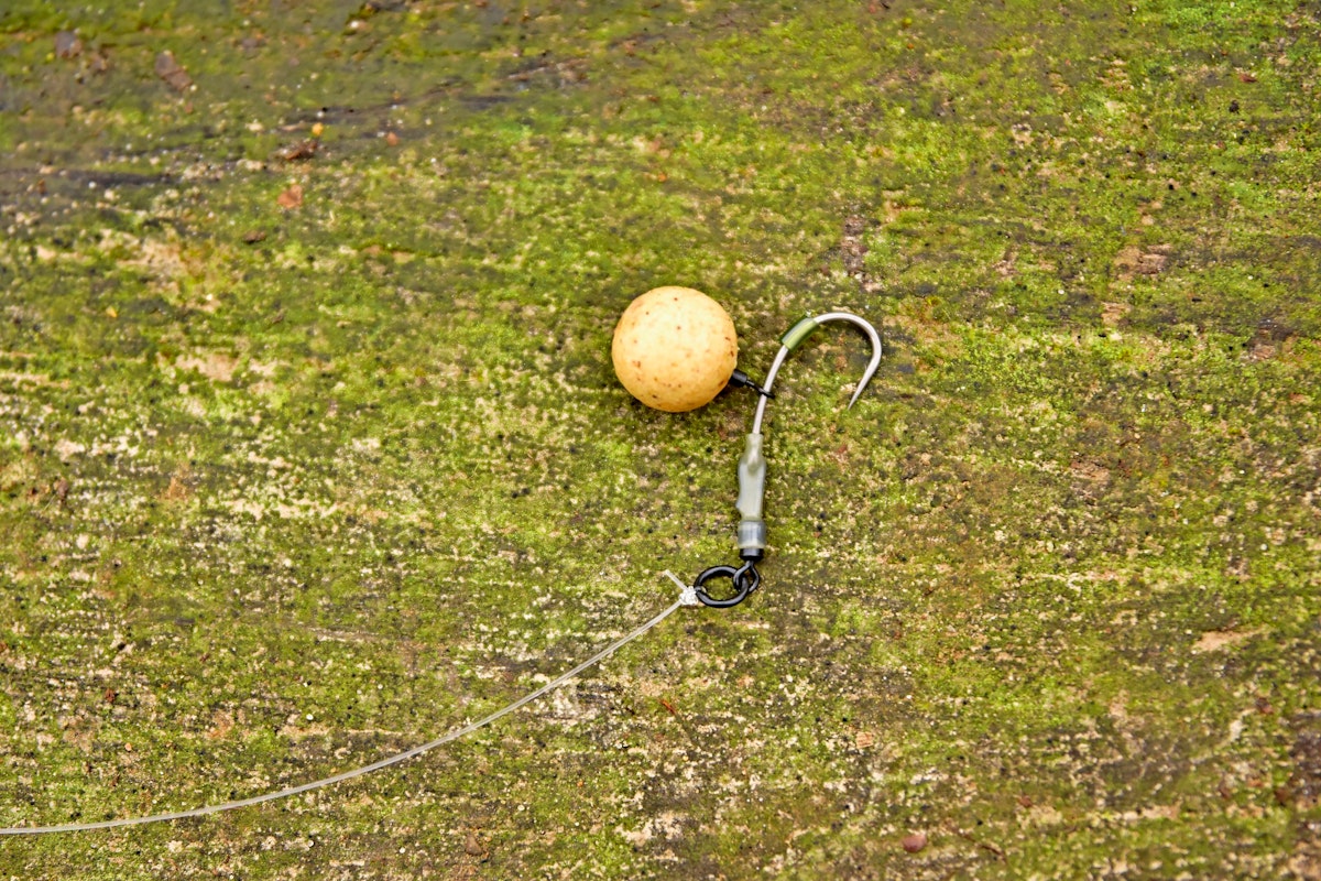 Why the ‘Ronnie’ is the best rig for carp fishing Ian Russell