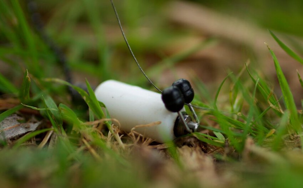 Carp fishing ‘bite times’ Adam Penning Angling Times