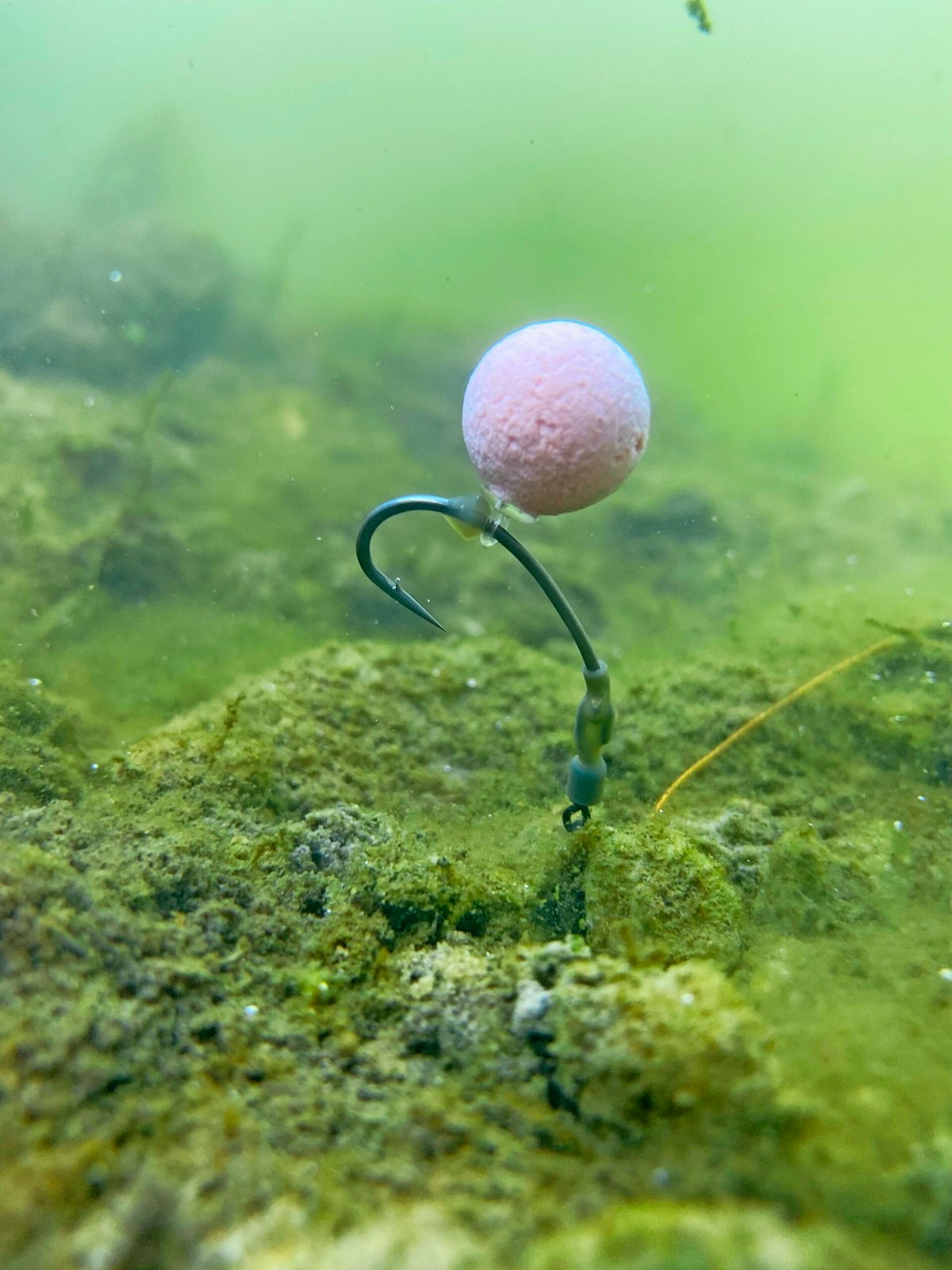 Why the ‘Ronnie’ is the best rig for carp fishing Ian Russell