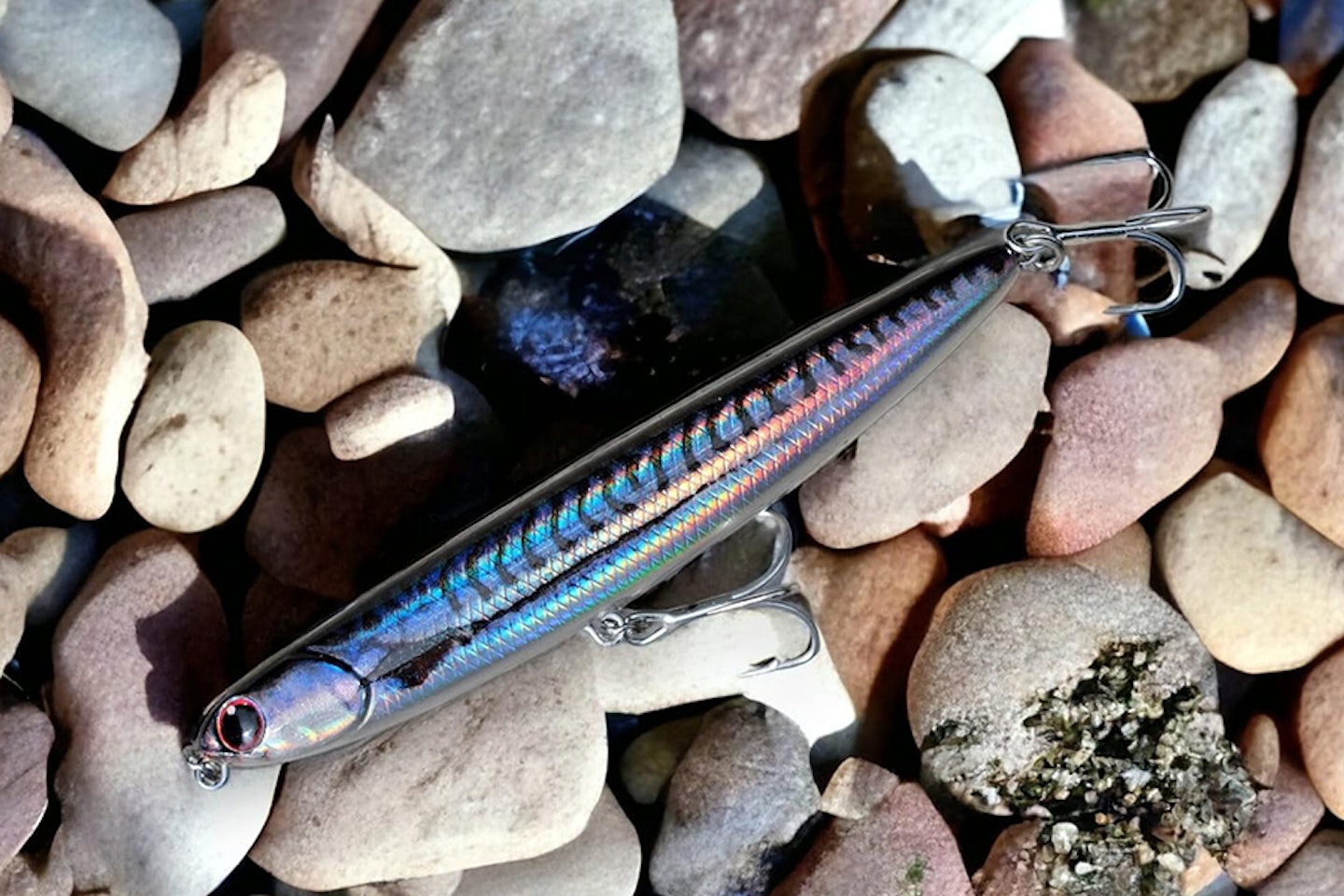 Momolures salty skimmer