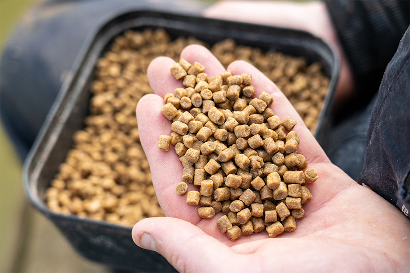 Mainline Match Cell Carp Pellets