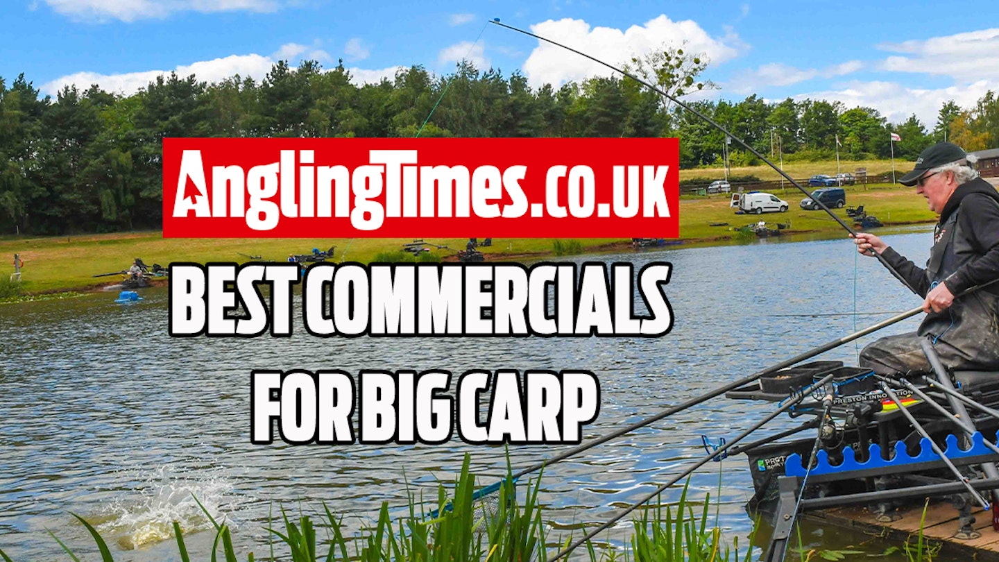 Fishing near me: Best commercials for big carp