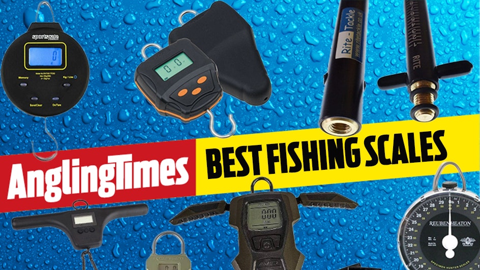 The best fishing scales | Angling Times