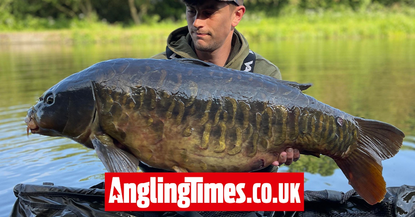 Stunning canal carp landed after a nearly 10-mile bike ride