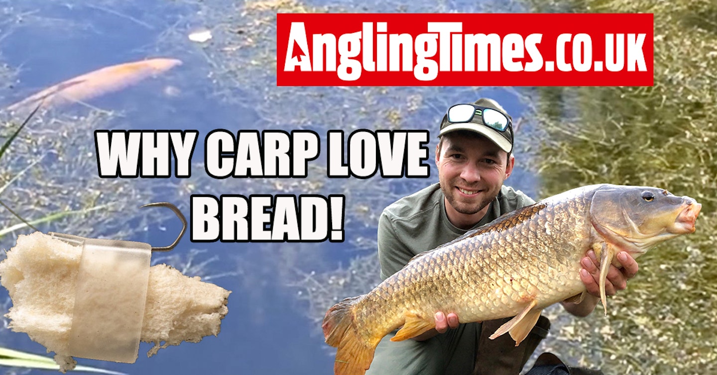 Bread is one of the best carp fishing baits of all time - here's why...