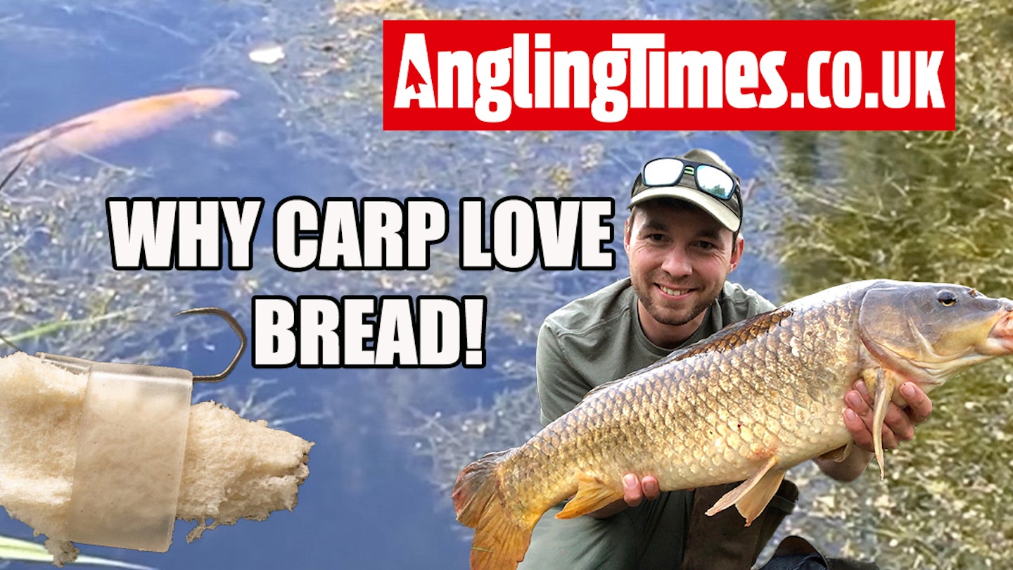 Bread is one of the best carp fishing baits of all time – here’s why…