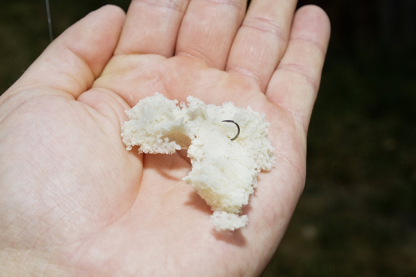 Bread is one of the most instant baits available.